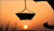 voyage coucher de soleil P
